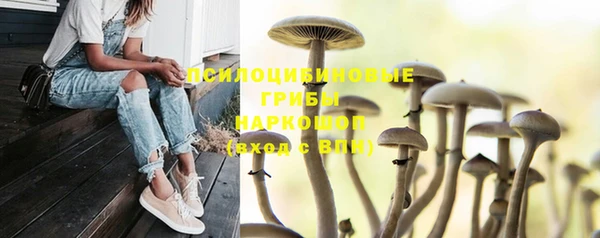 амф Белокуриха