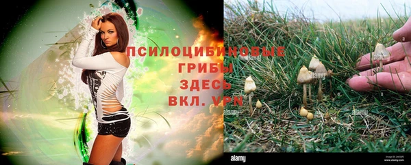 амф Белокуриха
