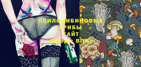 амф Белокуриха