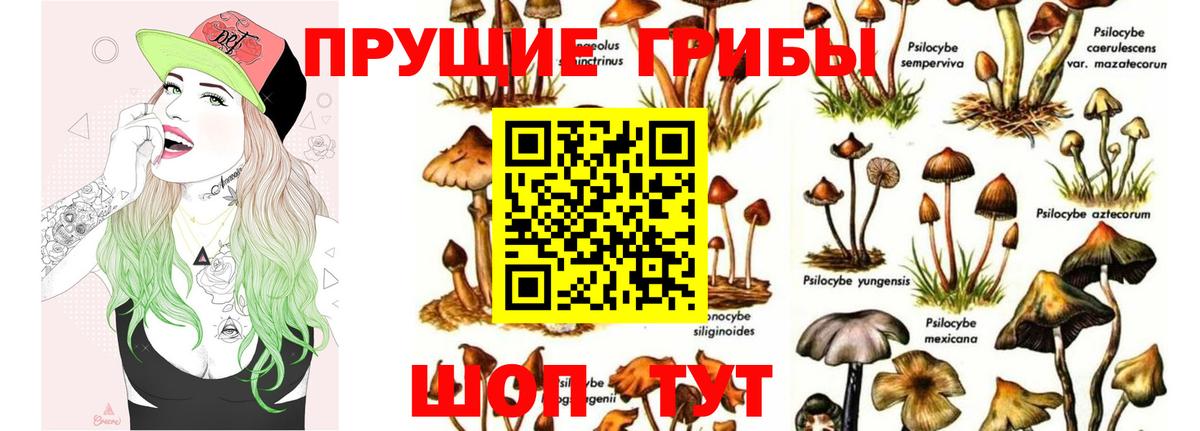 Галлюциногенные грибы Magic Shrooms Великий Устюг