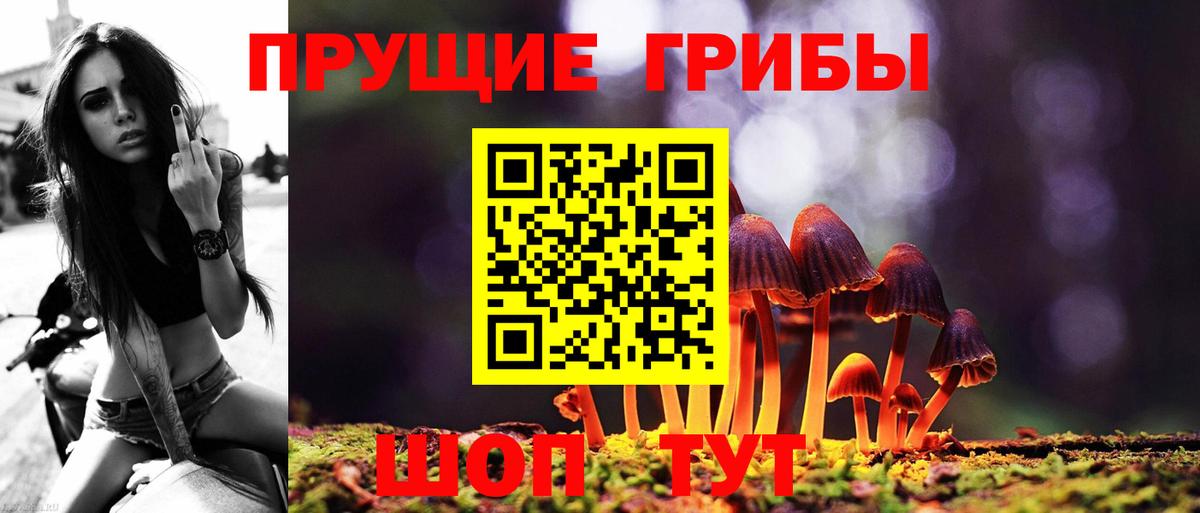 Псилоцибиновые грибы Cubensis  Галлюциногенные грибы Cubensis  Вход с VPN  Великий Устюг 